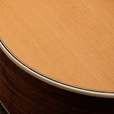 2024年の新アコースティックギター | Taylor Guitars